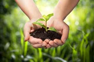 agricultural insurance pakistan