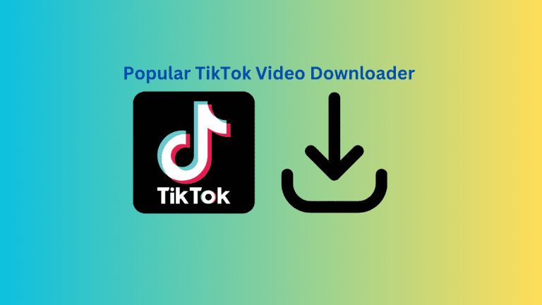 Popular TikTok Video Downloader (1)