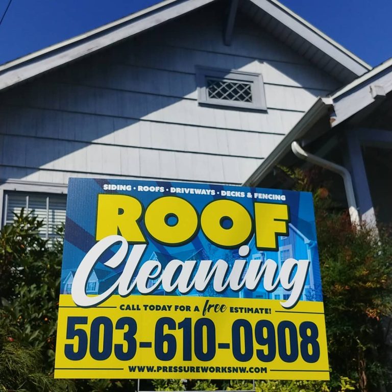 Roof-Cleaning-Services