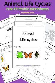 Animal Sound Worksheets