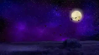 Moonlight