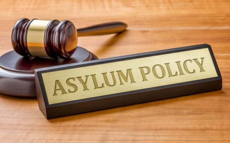 Advocacy Role of an Asylum Lawyer