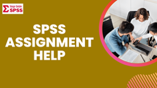 SPSS ASSIGNMENT HELP
