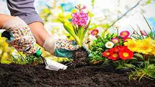 How much to water new grass seed