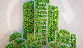 Sustainable Building Practices
