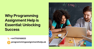 Programming Assignment Help