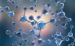 Polymer Innovation