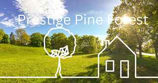 Prestige Pine Forest