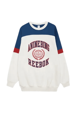 Anine-Bing-Sweatshirt