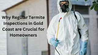 Pest control services