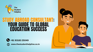 study abroad consultant
