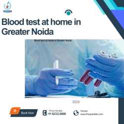 Blood test at home in Greater Noida by trained medical staff