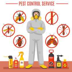 Pest Control Langdon