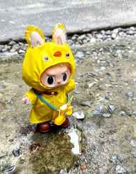 New labubu Official behind The Story