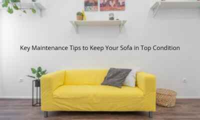 Key Maintenance Tips to Keep Your Sofa in Top Condition