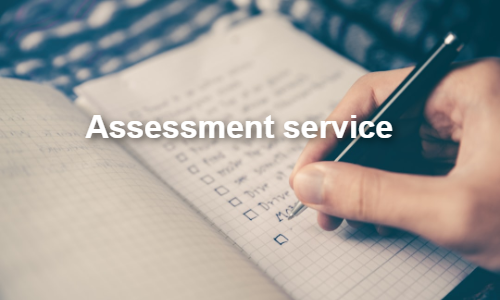 Assessment
