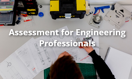 Assessment for Engineering Professionals